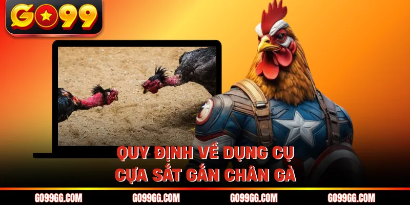 Quy định về dụng cụ cựa sắt gắn chân gà